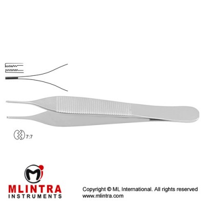 Adson-Brown Dissecting Forceps 7 x 7 Teeth Stainless Steel, 12 cm - 5"